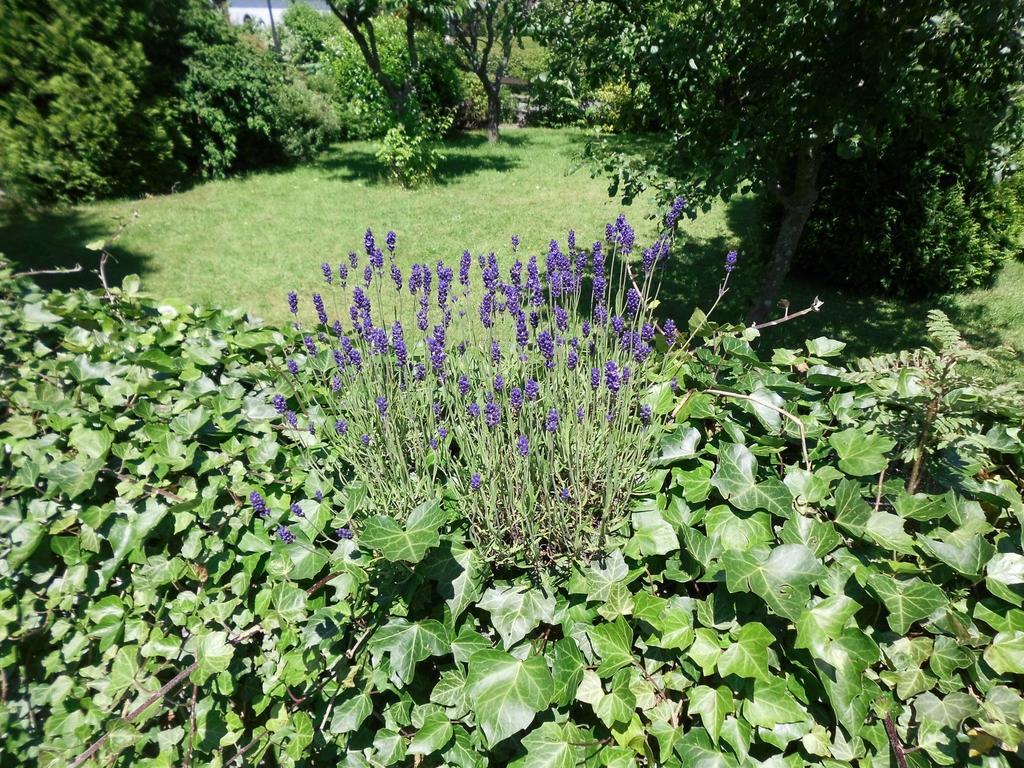 Apartment In Langewiese Sauerland With Garden Винтерберг Экстерьер фото
