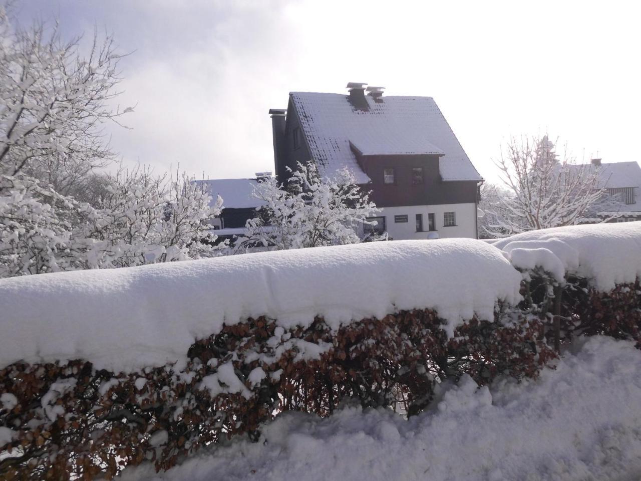 Apartment In Langewiese Sauerland With Garden Винтерберг Экстерьер фото